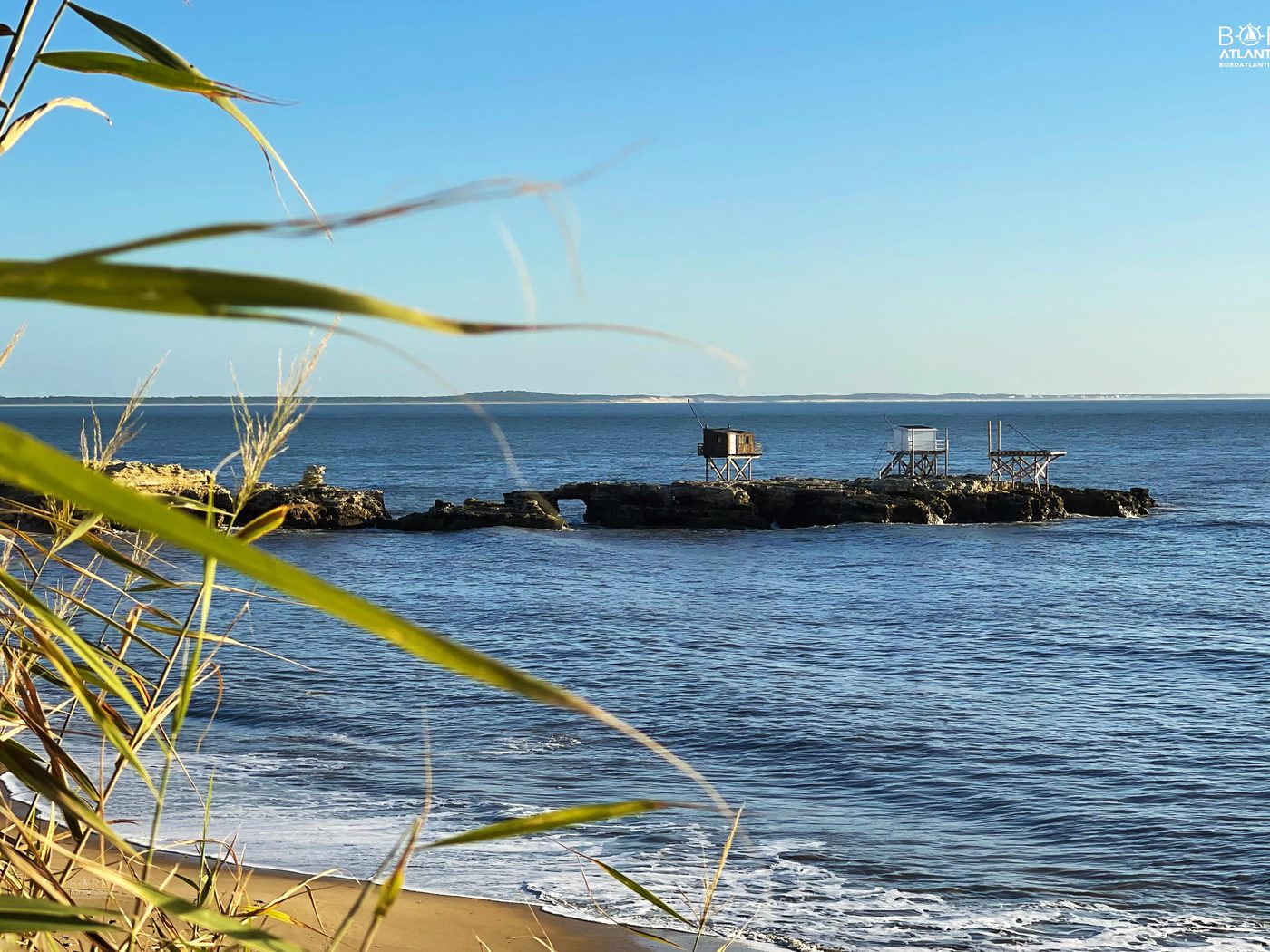 Carrelets sur le platier rocheux du Pont du Diable à Saint-Palais-sur-Mer, vus à travers les roseaux de la dune