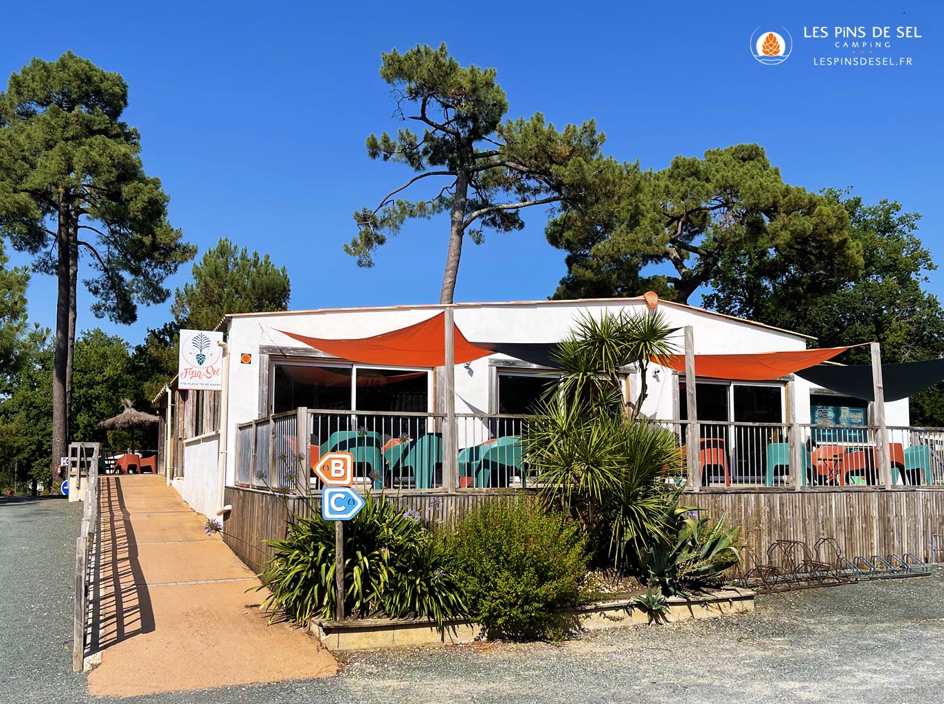Piscine extérieure chauffée du Camping Les Pins de Sel — Saint-Augustin