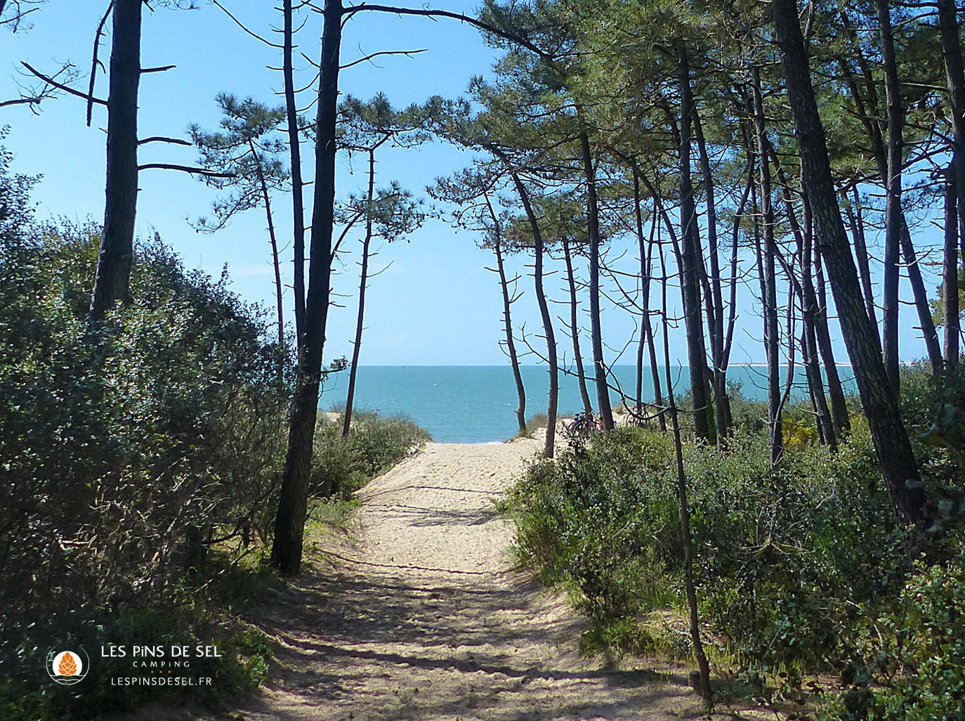 Mobil-homes du Camping Les Pins de Sel — Saint-Augustin, Charente-Maritime