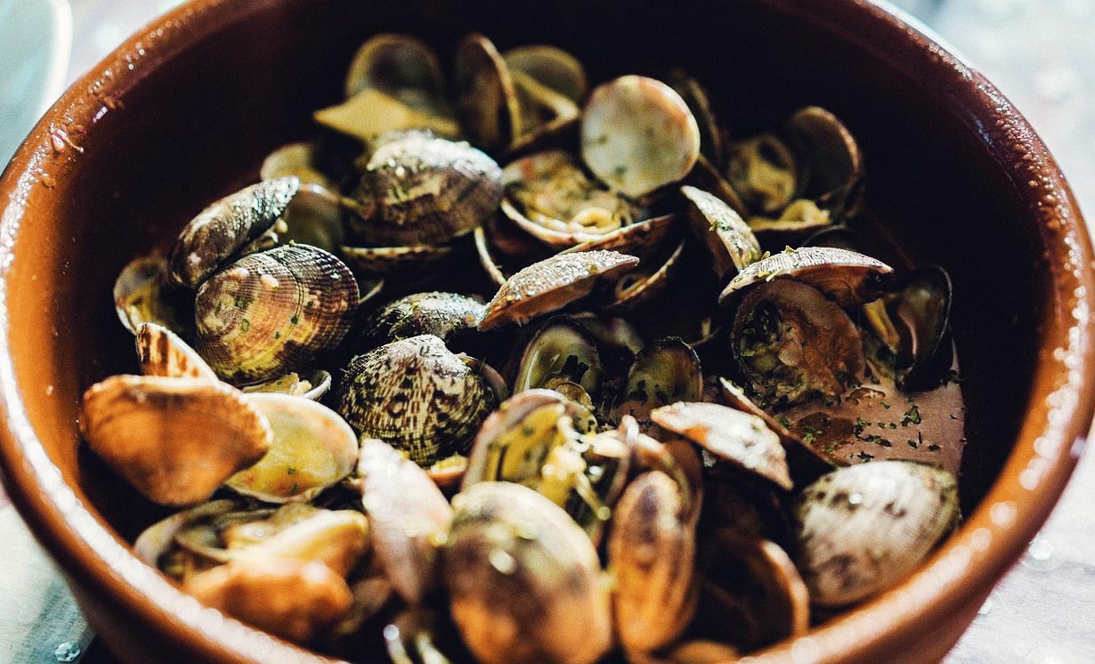 Palourdes pêchées à pied sur l'estran de l'île d'Oléron en Charente-Maritime