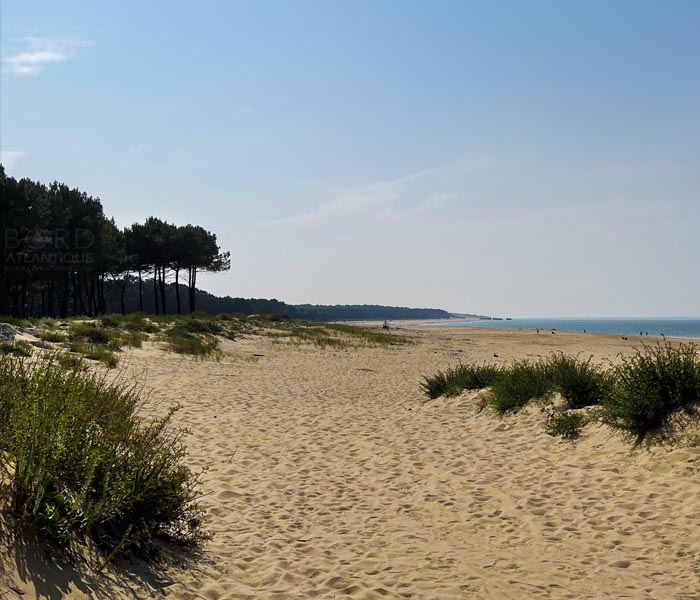 La Palmyre et sa forêt de pins des Landes face à l'océan Atlantique, Charente-Maritime